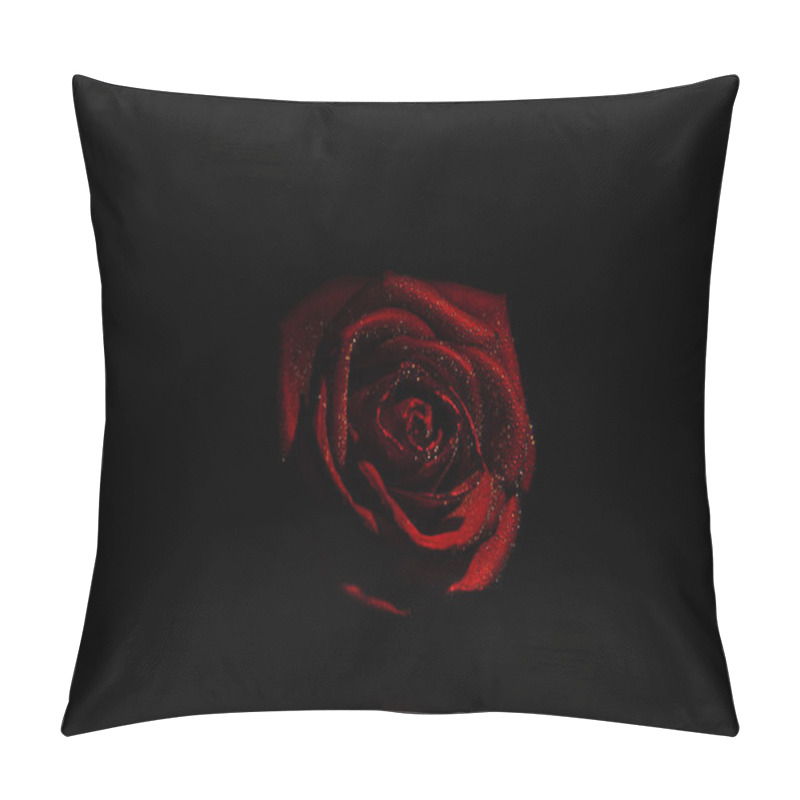 Personality  Scarlet Rose On Dark Background. Macro Photography Of Rosebud With Water Drops. Wet Red Rose On Black Background Close Up Pillow Covers