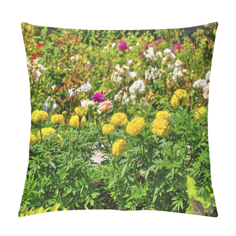 Personality  Beautiful View With Blooming Flowers In The Botanical Garden Pillow Covers