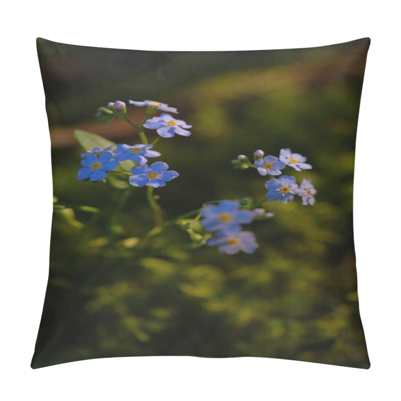 Personality  Small Blue Flowers Photographed On A Sunny Morning. Forget-me-not, Fragile Petals, Delicate Flowers. Pillow Covers