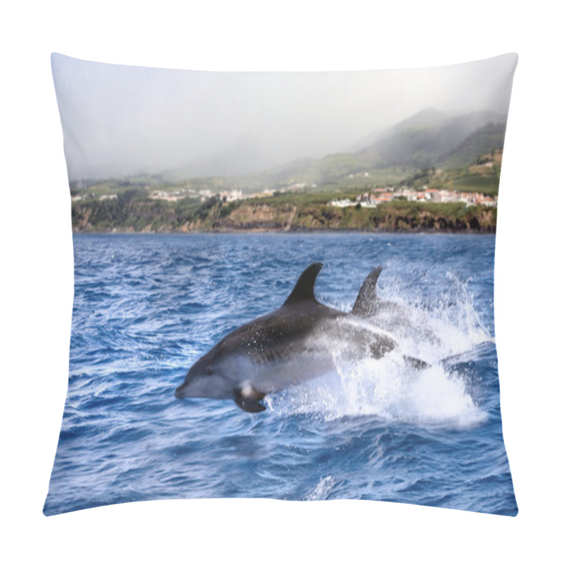 Personality  Jumping Dolphin Pillow Covers