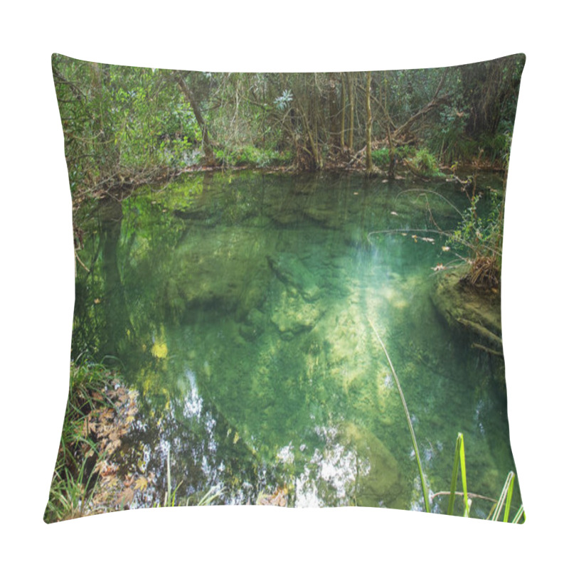 Personality  Transparent Forest Lake In Antalya In Turkey Pillow Covers