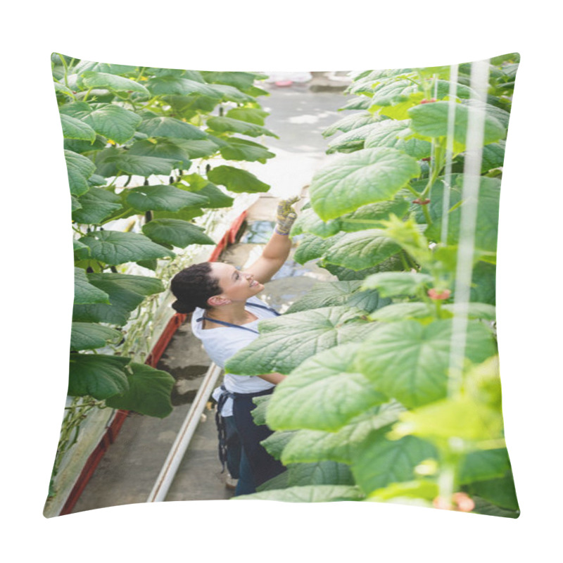 Personality  High Angle View Of African American Farmer Working Near Cucumber Plants In Greenhouse Pillow Covers