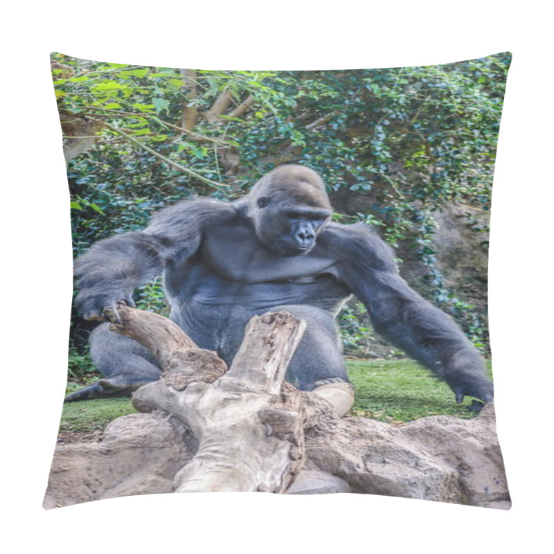 Personality  Portrait Of A Western Lowland Gorilla In Loro Parque, Tenerife, Canary Islands. Pillow Covers