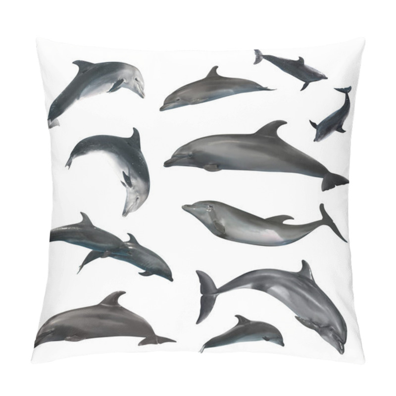 Personality  Beautiful Grey Bottlenose Dolphins On White Background, Collage Pillow Covers