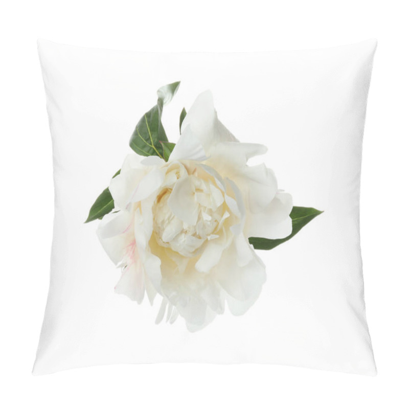 Personality  Beautiful Fragrant Peony Flower Isolated On White Pillow Covers