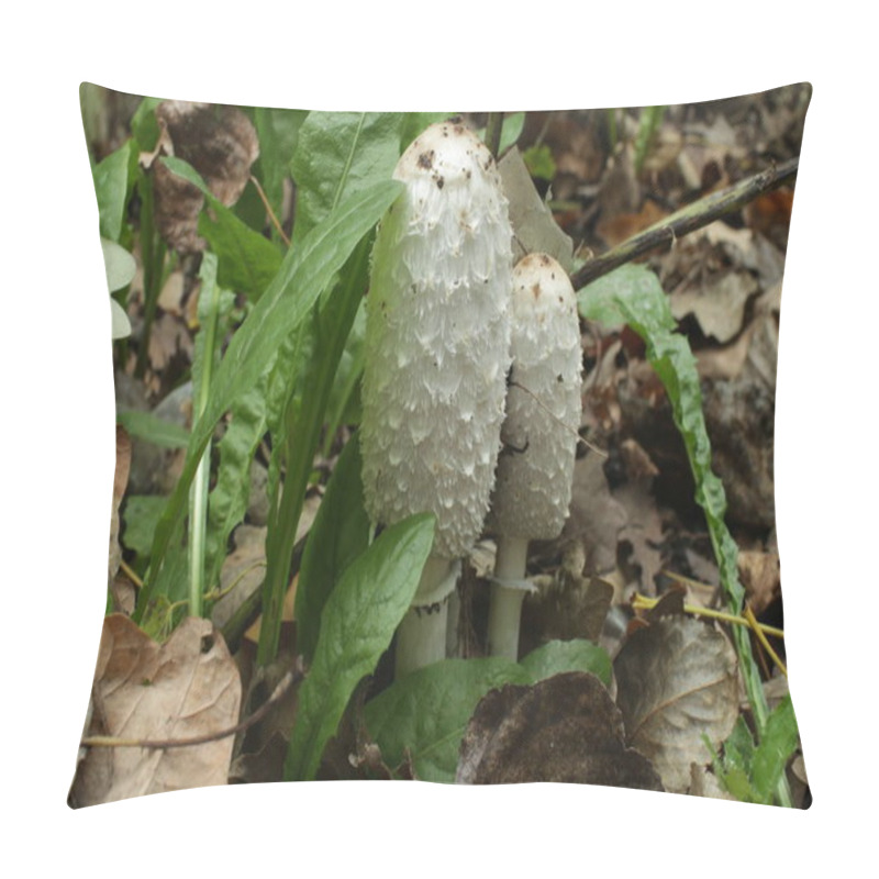 Personality   Mushroom Coprinus Comatus Pillow Covers