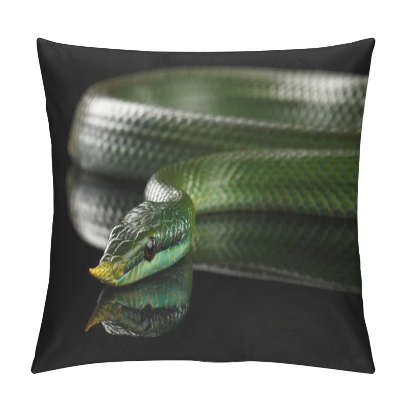 Personality  Green Long Nosed Snake, Rhinoceros Ratsnake Isolated On Black Background With Reflection Pillow Covers