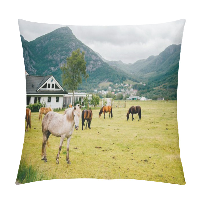 Personality  Wildlife In Norway. Scandinavian Fjord Beautiful Horses On Pasture Eat Grass On Field In Summer Rainy Weather. Cloudy Sky. Mountains On Background. Rocks. Funny Mammal Animals. Rural. Travel. Nature. Pillow Covers