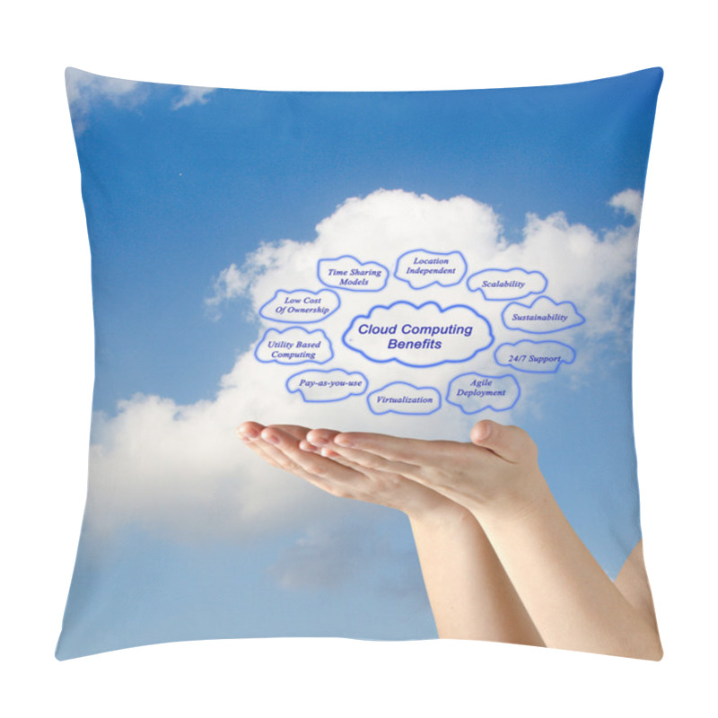 Personality  Cloud Computing Benefits Pillow Covers