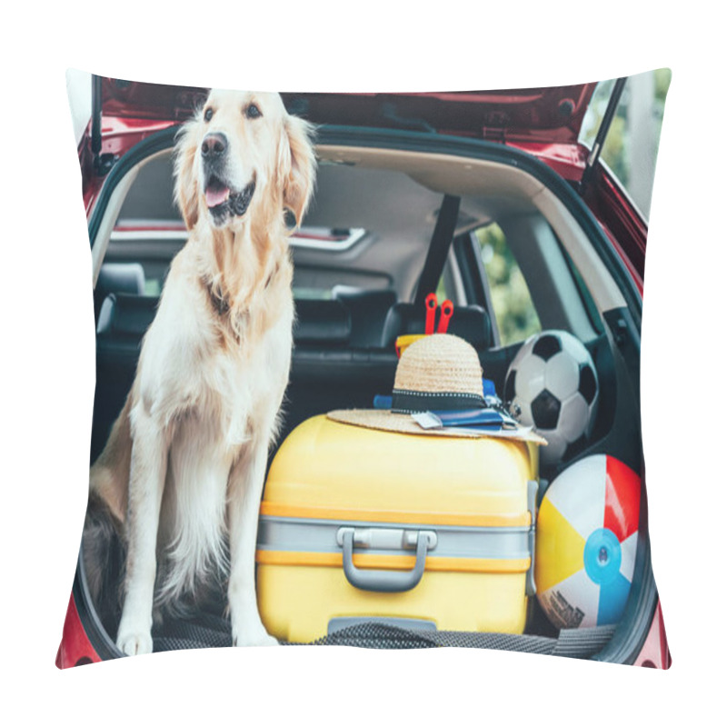 Personality  Close Up View Of Dog Sitting In Car Trunk With Wheeled Bag, Straw Hat And Balls For Travel  Pillow Covers