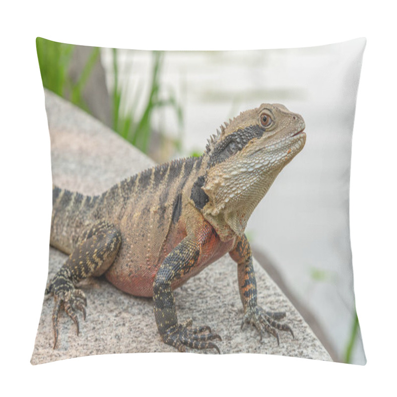 Personality  Australian Water Dragon At Chinese Garden Of Friendship In Sydney, Australia Pillow Covers