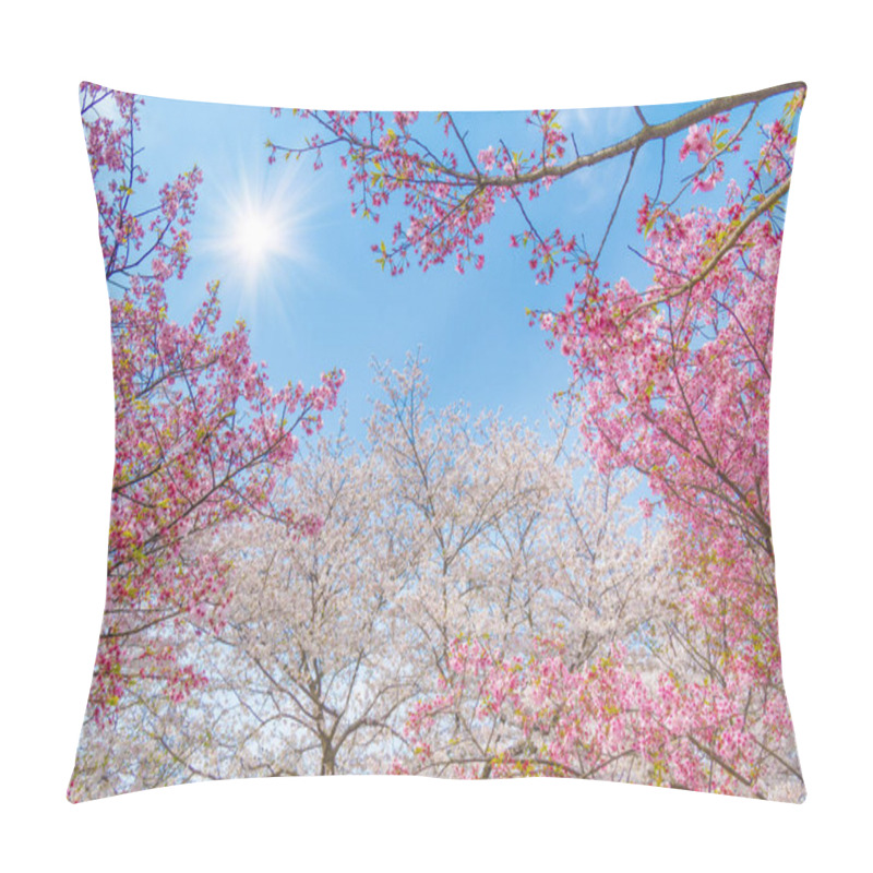 Personality  Wuhan Cherry Blossom Garden Scenery In Spring Pillow Covers