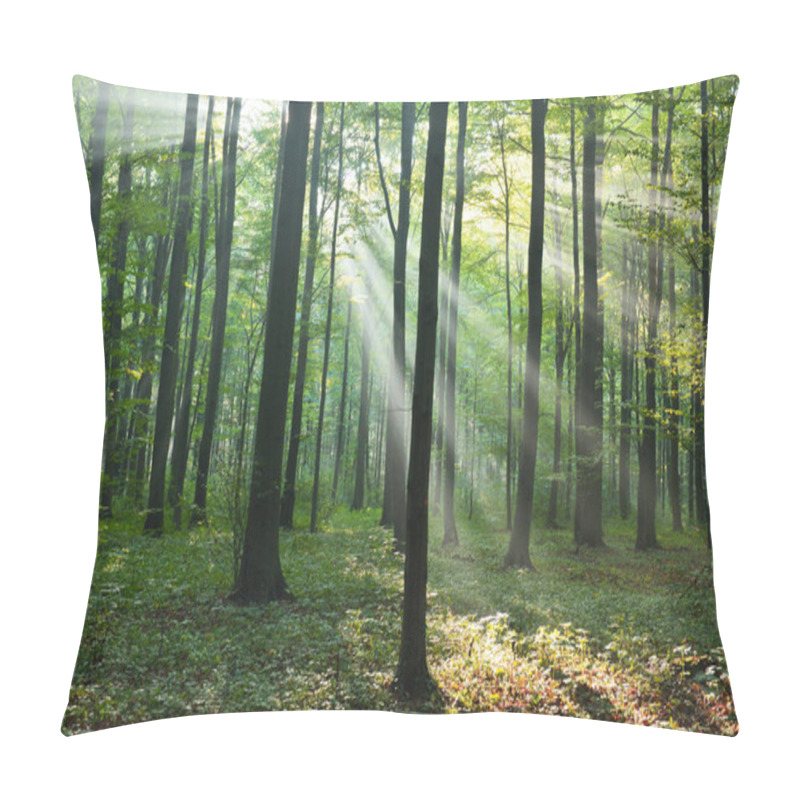 Personality  Beautiful Morning With Sunbeams In The Forest Pillow Covers