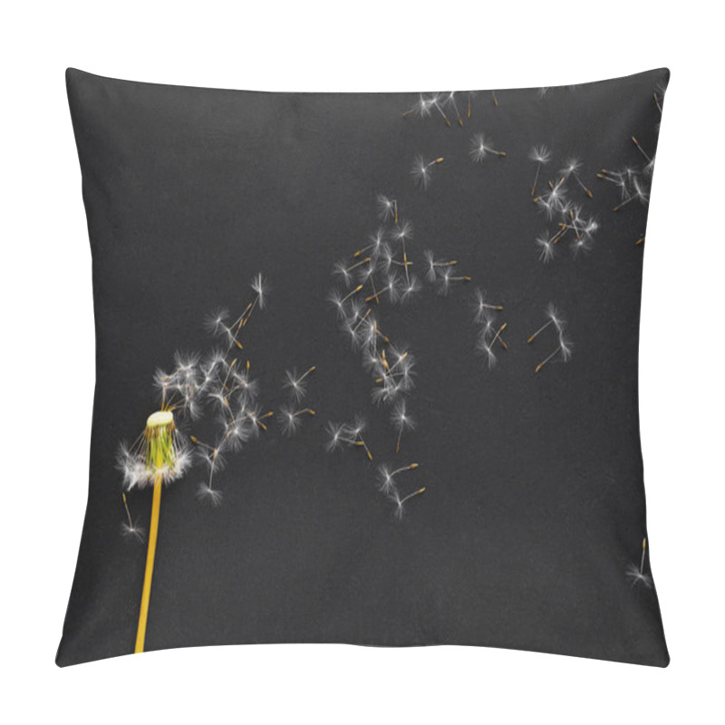 Personality  Blowball Dandelion With Fallen Seeds On A Black Slate Background. Pillow Covers