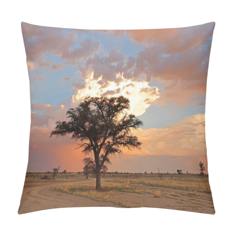 Personality  Sunset With Silhouetted African Thorn Tree And Clouds, Kalahari Desert, South Afric Pillow Covers