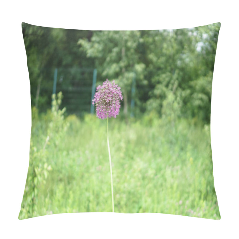 Personality  Colorful Flower Meadow In Summer. Flowers On The Flowerbed In The Park. Stock Photo Background Pillow Covers