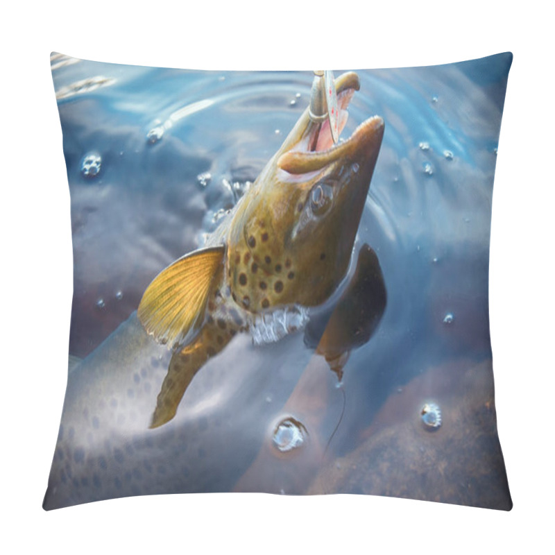 Personality  Spinning Fishing (lure Fishing) Trout In Lakes Of Scandinavia. Brook Trout (steelhead Rainbow Trout, Char, Bull-trout, Cutthroat, Lax, Salmo Trutta Trutta - Male) Caught On Rotating Spinner, Close Up Pillow Covers