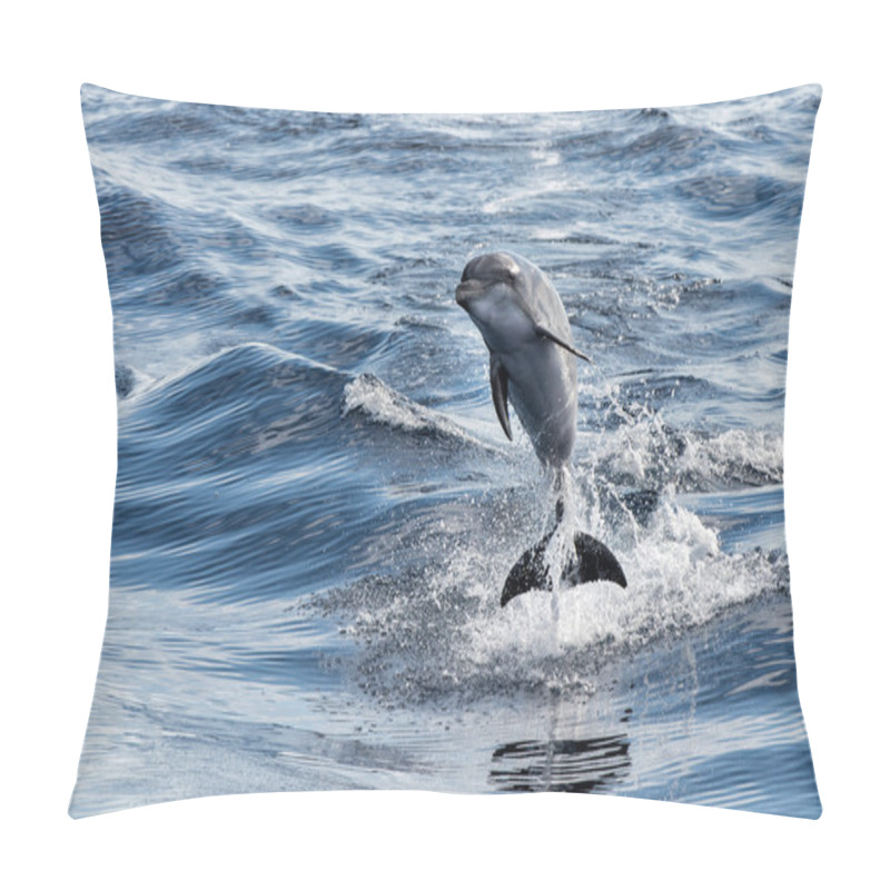 Personality  Common Dolphin Jumping Outside The Ocean Pillow Covers