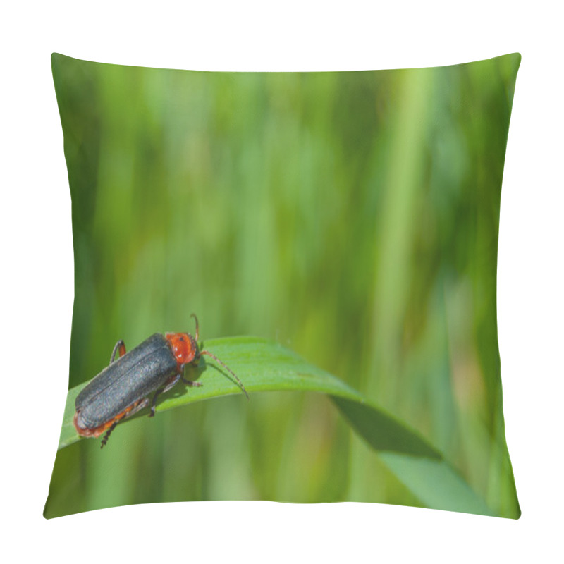 Personality  Bedbug On Flower Pillow Covers