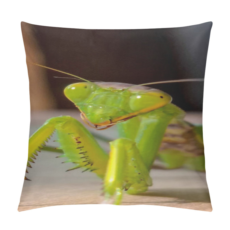 Personality  Large Green Praying Mantis.A Large Green Grasshopper Is A Female Praying Mantis. Pillow Covers