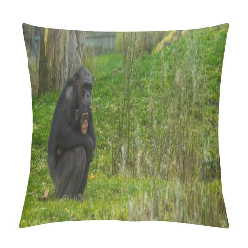 Personality  Mother Chimpanzee Holding Her Infant, Endangered Animal Species From Africa Pillow Covers