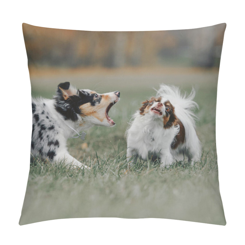 Personality  Border Collie Puppy And Chihuahua Dog Barking At Each Other Outdoors Pillow Covers