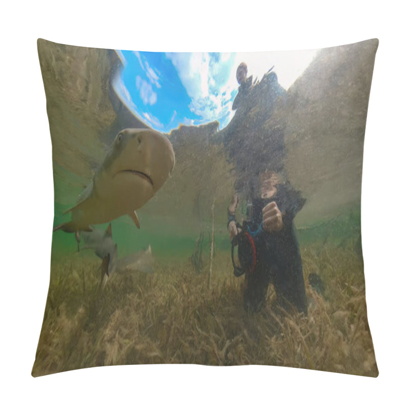 Personality  Juvenile Lemon Shark (Negaprion Brevirostris) In The Mangroves Of North Bimini, Bahamas Pillow Covers