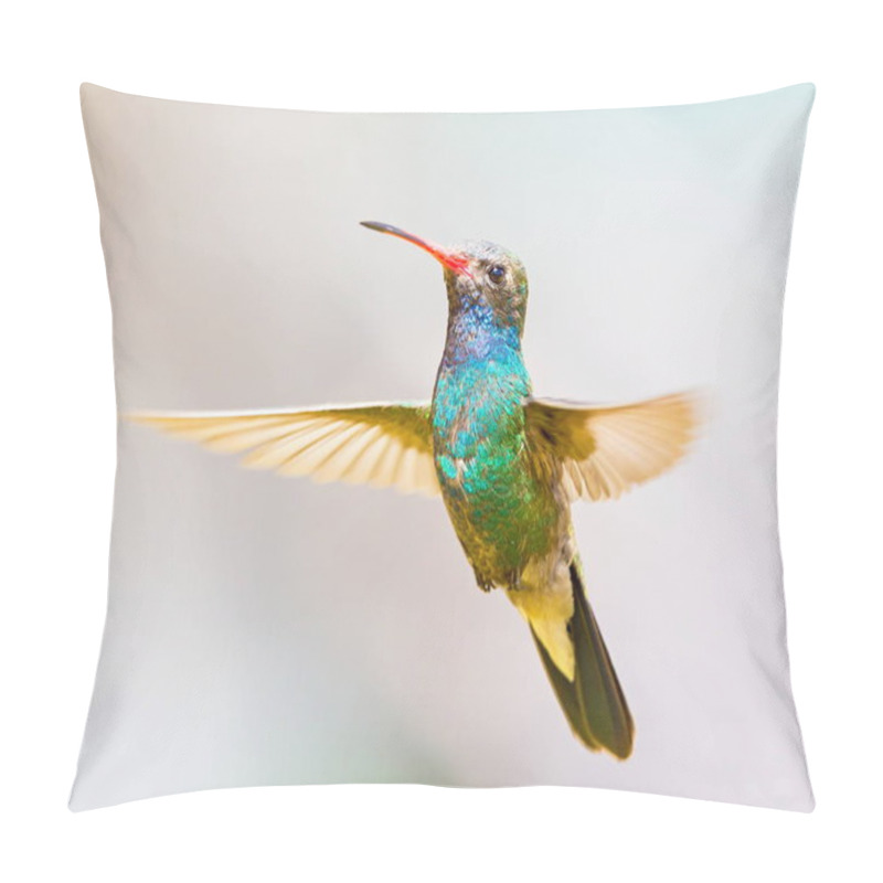 Personality  Broad Billed Hummingbird. Pillow Covers