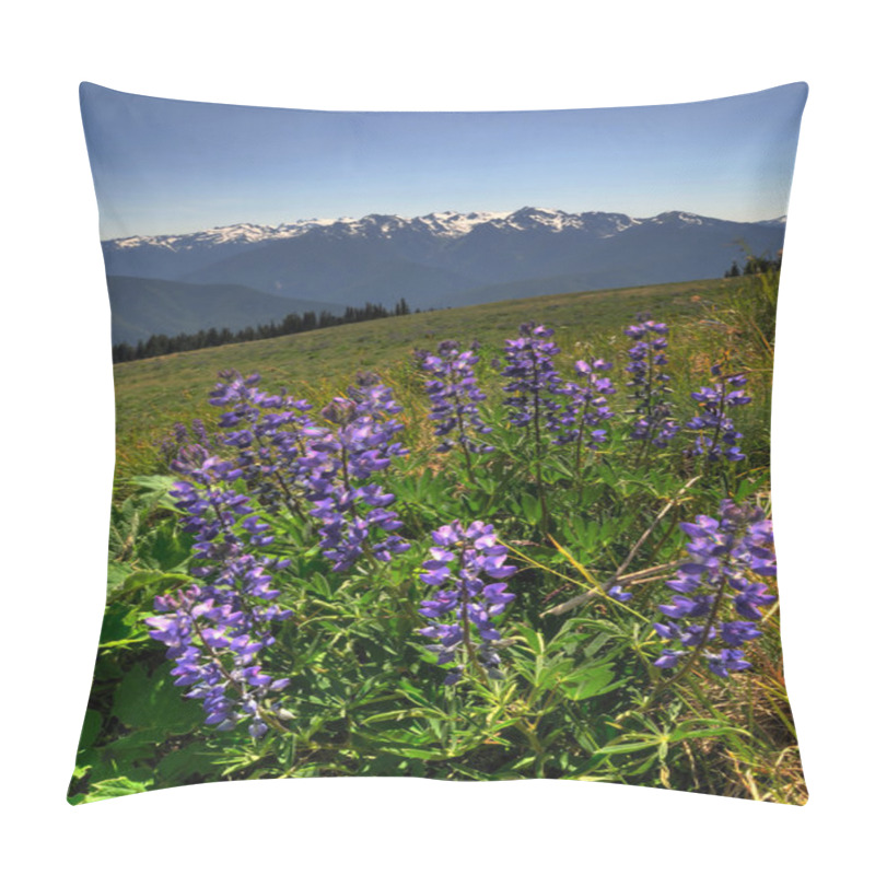 Personality  Wildflowers At Hurricane Ridge Pillow Covers