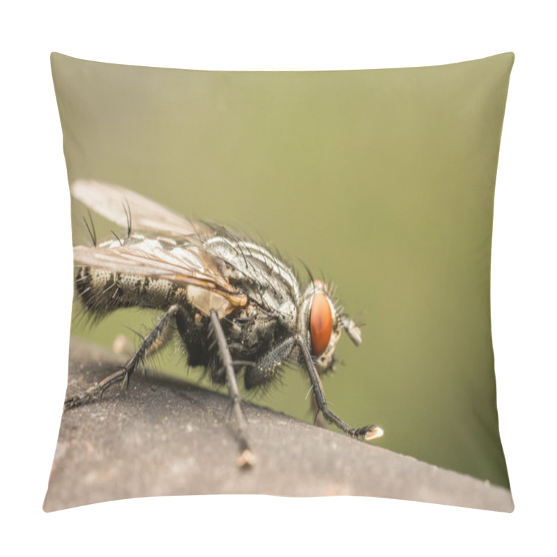 Personality  The Common Housefly Pillow Covers