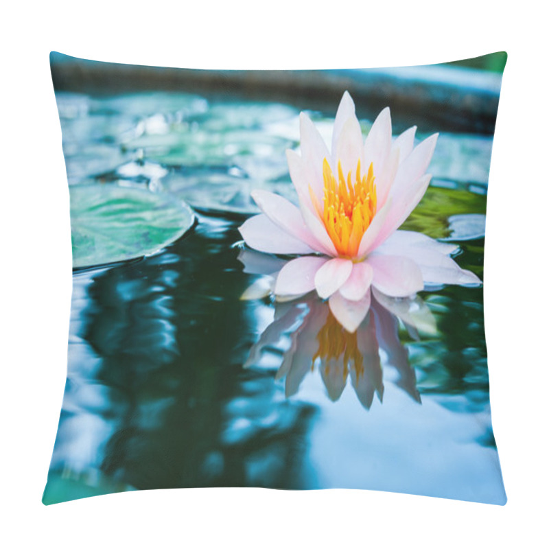 Personality  Beautiful Pink Waterlily Or Lotus Flower In Pond Pillow Covers