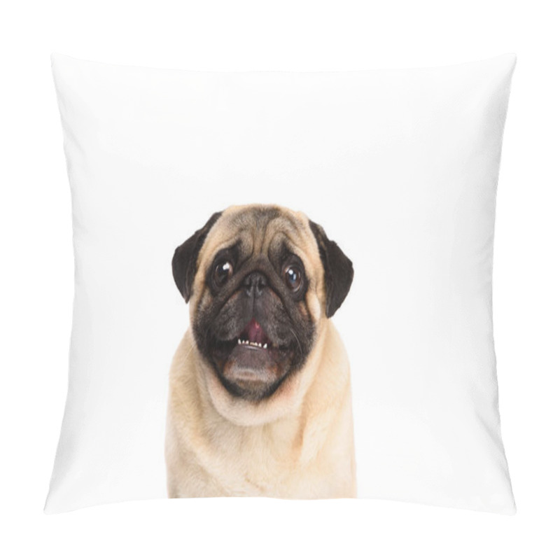 Personality  Adorable Little Pug Isolated On White Pillow Covers