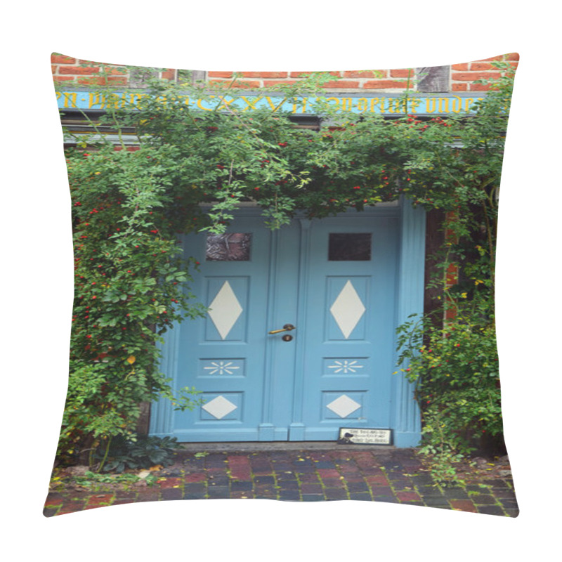 Personality  Blue  Front Door In A Historic House With Climbing Plants At The Pillow Covers