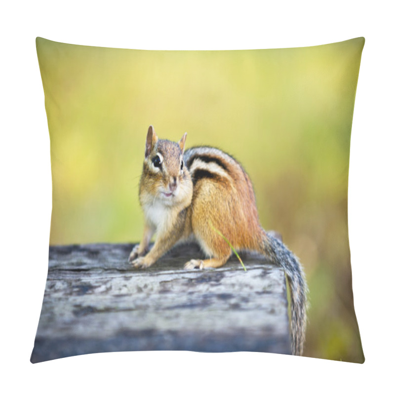 Personality  Chipmunk With Stuffed Cheek On Log Pillow Covers