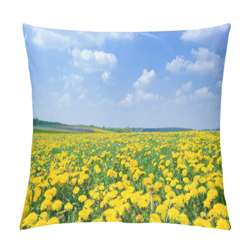 Personality  Dandelion Field Pillow Covers