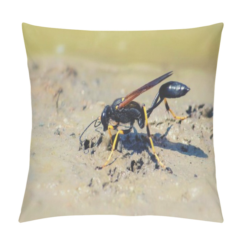 Personality  Black And Yellow Mud Dauber Wasp Close Up Pillow Covers