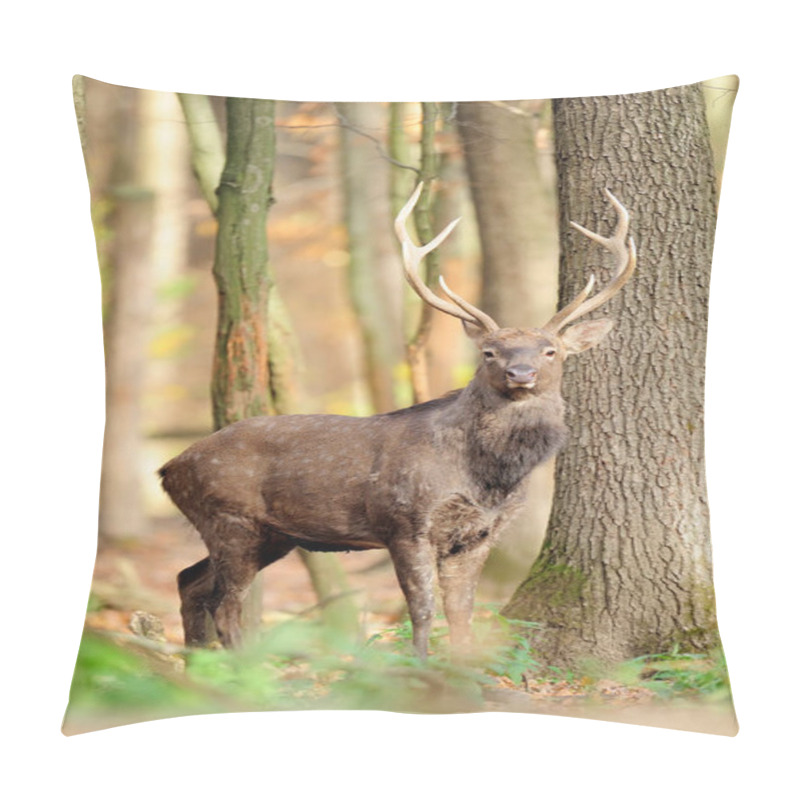 Personality  Deer In Autumn Forest Pillow Covers