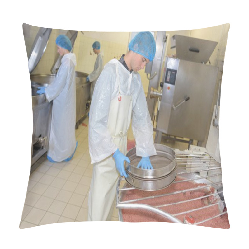 Personality  Biologist Team Talking And Wearing Hairnet In The Factory Pillow Covers