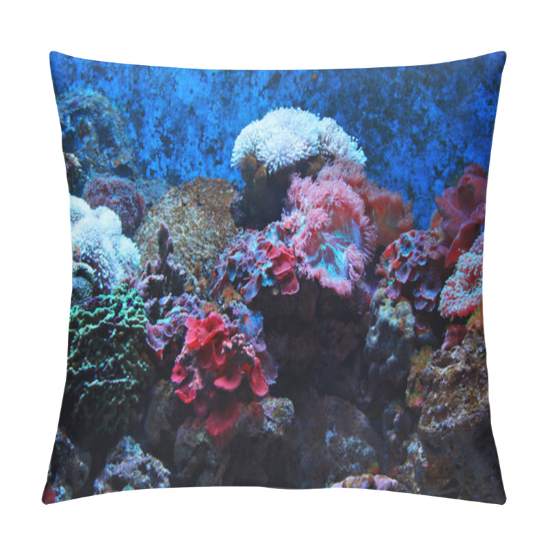 Personality  Tropical Seaweed And Corals Pillow Covers