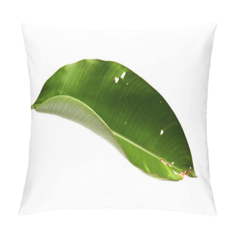 Personality  Strelitzia Reginae, Heliconia, Tropical Leaf, Bird Of Paradise Foliage Isolated On White Background, With Clipping Path                                     Pillow Covers