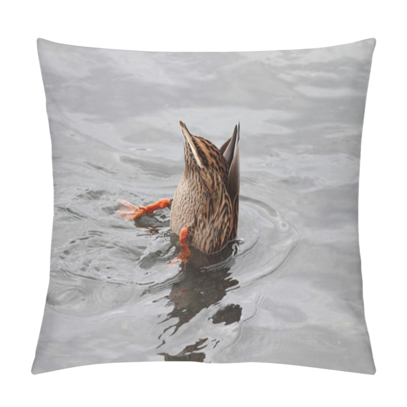 Personality  Upside Down Duck Pillow Covers