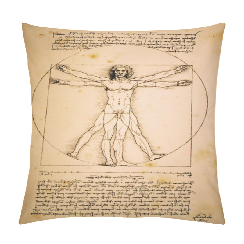 Personality  Vitruvian Man Of Leonardo Da Vinci Pillow Covers