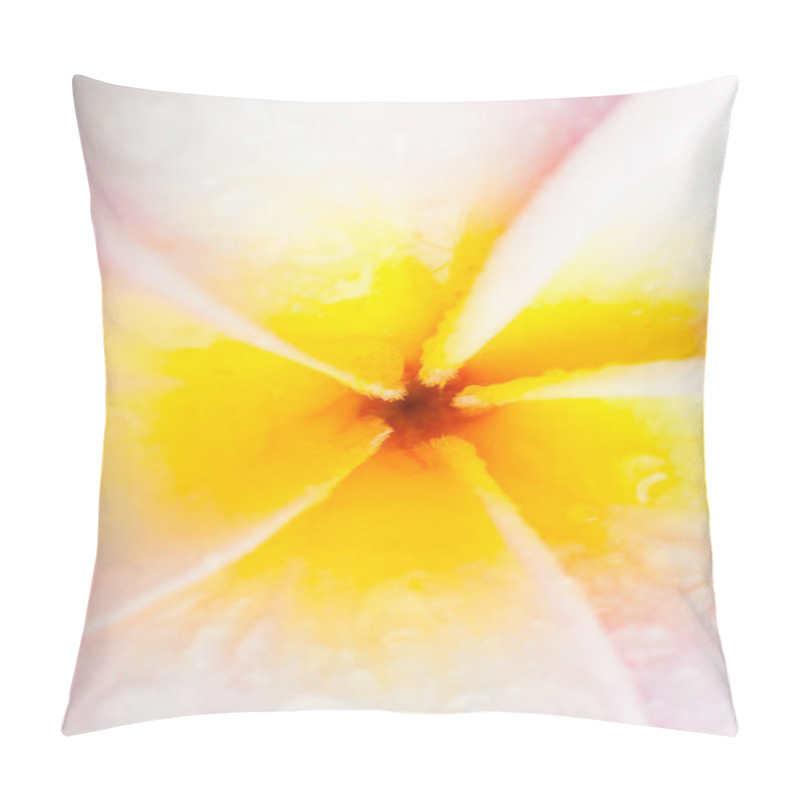 Personality  Frangipani Macro Pillow Covers