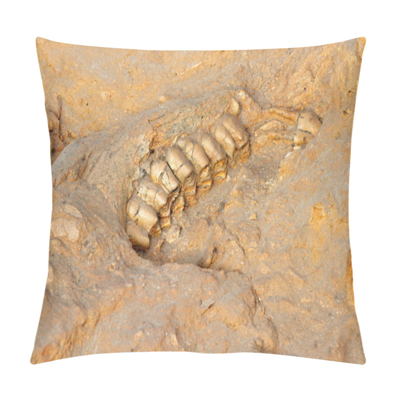 Personality  Ancient Fossil Jaw Bone Pillow Covers