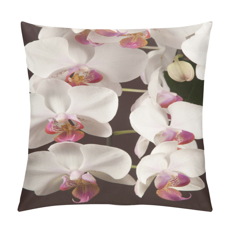 Personality  Phalaenopsis Orchid Flowers (butterfly Orchid) Pillow Covers