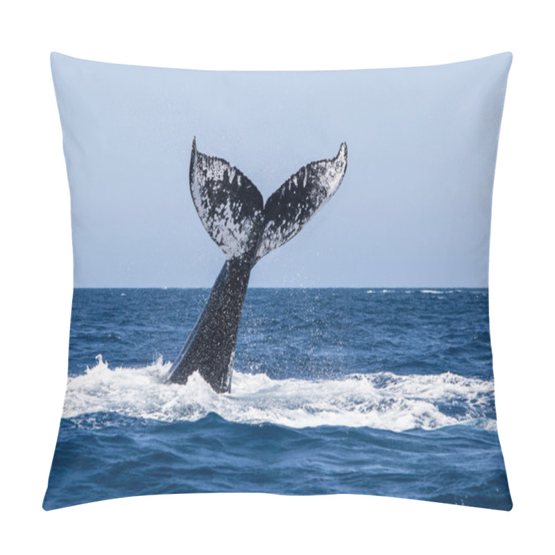 Personality  Humpback Whale Tail Pillow Covers