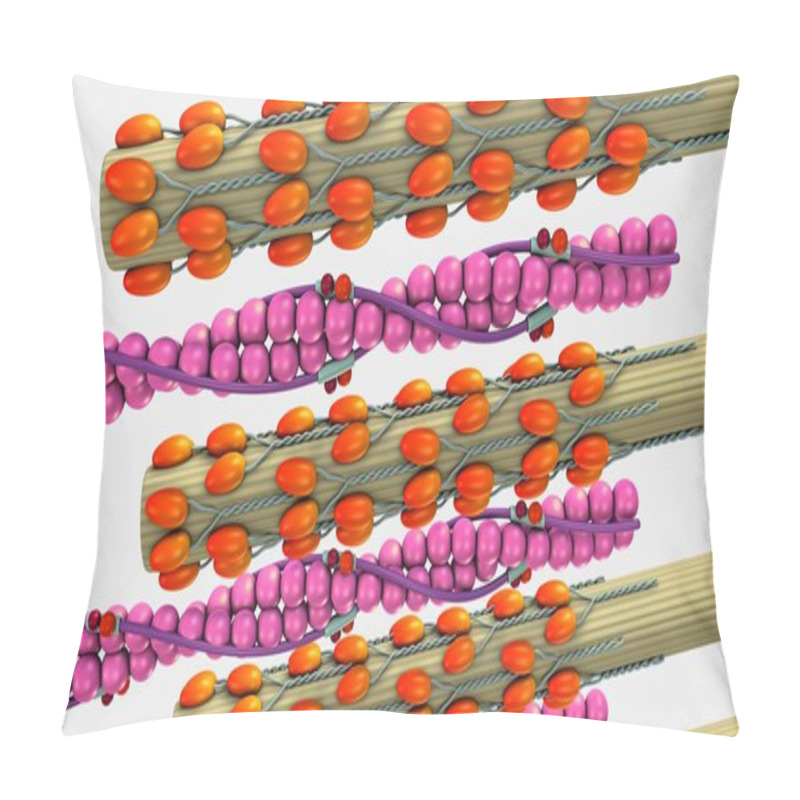 Personality  Human Muscle Contraction Pillow Covers