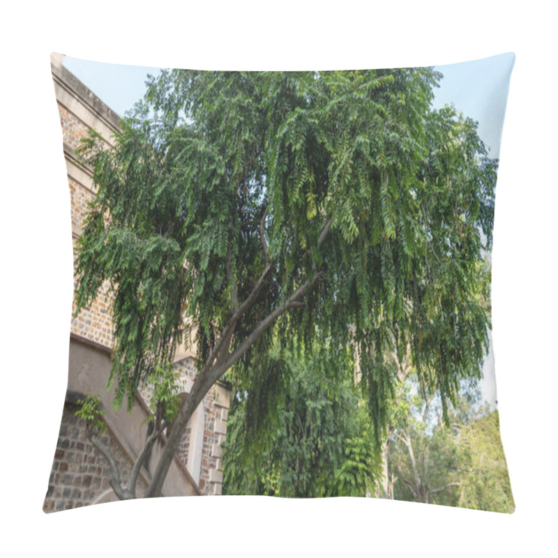 Personality  A Small Tree In A Side Of A Building In India Pillow Covers