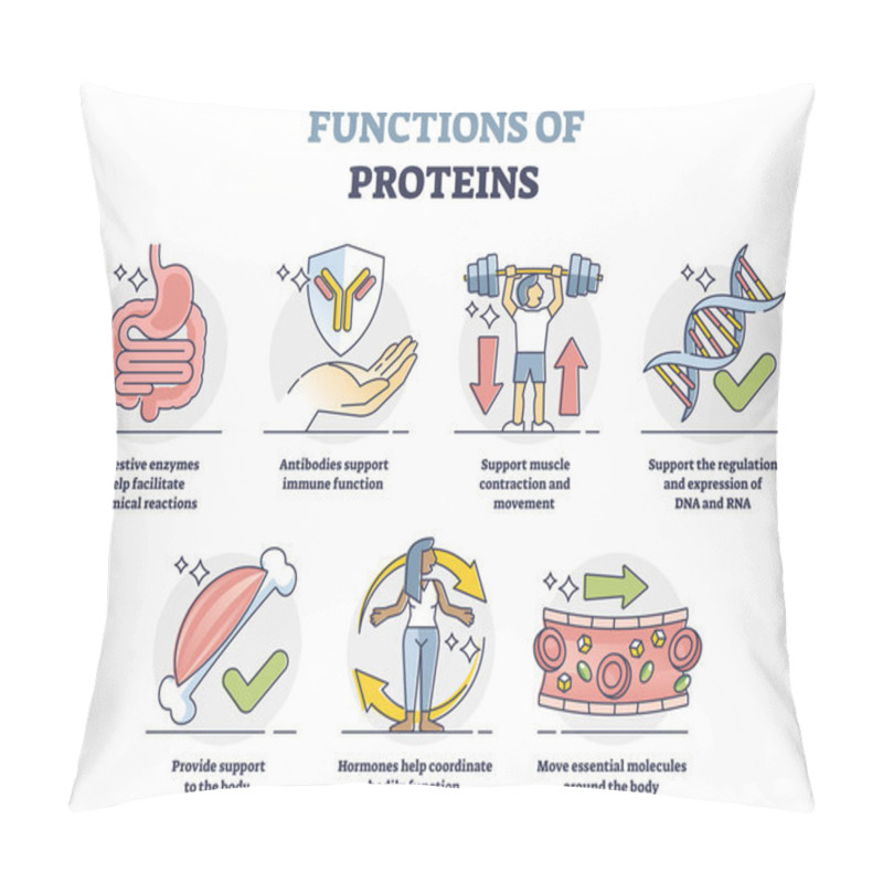 Personality  Functions Of Proteins With Anatomical Roles In Body Outline Collection Set Pillow Covers