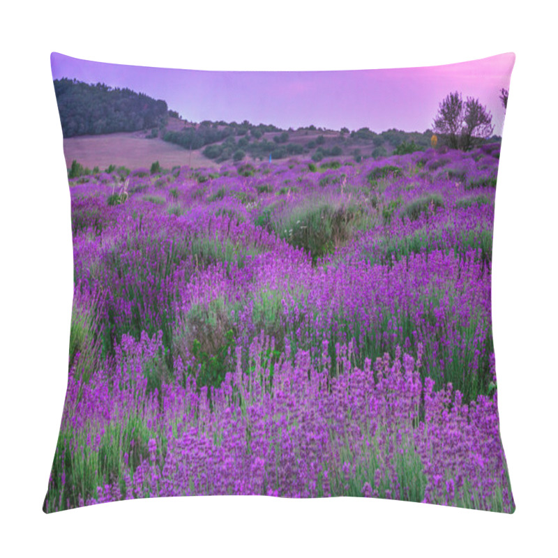 Personality  Lavender Field In Summer Pillow Covers